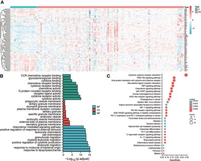 Construction of prediction model of inflammation related genes in idiopathic pulmonary fibrosis and its correlation with immune microenvironment